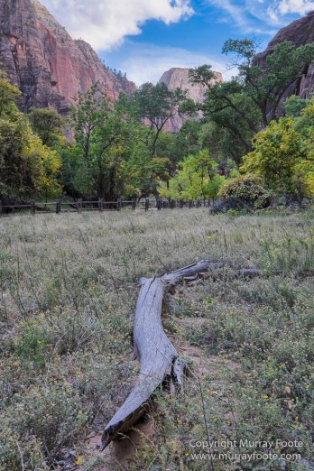 Landscape, Photography, Southwest Canyonlands, Travel, USA, Utah, Zion Canyon