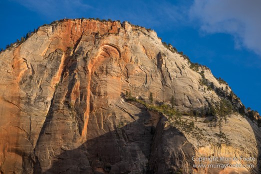 Landscape, Photography, Southwest Canyonlands, Travel, USA, Utah, Zion Canyon