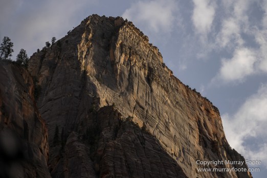 Landscape, Photography, Southwest Canyonlands, Travel, USA, Utah, Zion Canyon