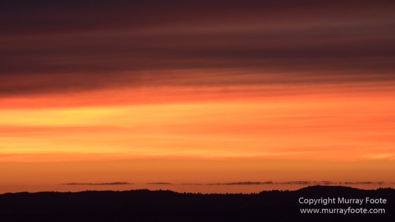Landscape, Lava point, Photography, Southwest Canyonlands, The Narrows, Travel, USA, Utah, Wilcat Trail Head, Zion Canyon