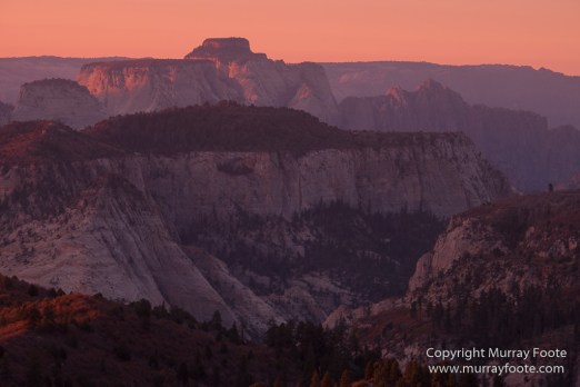 Landscape, Lava point, Photography, Southwest Canyonlands, The Narrows, Travel, USA, Utah, Wilcat Trail Head, Zion Canyon