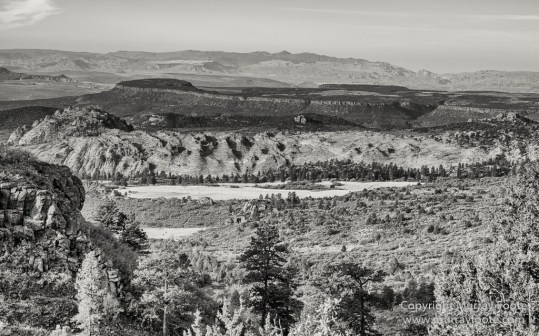 Black and White, Infrared, Landscape, Monochrome, Photography, Southwest Canyonlands, Travel, USA, Utah, Zion Canyon