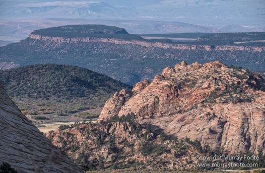 Landscape, Lava point, Photography, Southwest Canyonlands, The Narrows, Travel, USA, Utah, Wilcat Trail Head, Zion Canyon