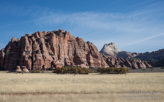 Landscape, Lava point, Photography, Southwest Canyonlands, The Narrows, Travel, USA, Utah, Wilcat Trail Head, Zion Canyon.jpg