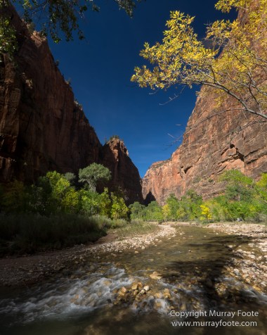 Landscape, Lava point, Photography, Southwest Canyonlands, The Narrows, Travel, USA, Utah, Wilcat Trail Head, Zion Canyon.jpg