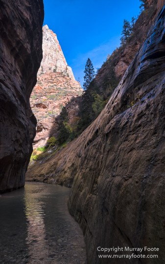Landscape, Lava point, Photography, Southwest Canyonlands, The Narrows, Travel, USA, Utah, Wilcat Trail Head, Zion Canyon