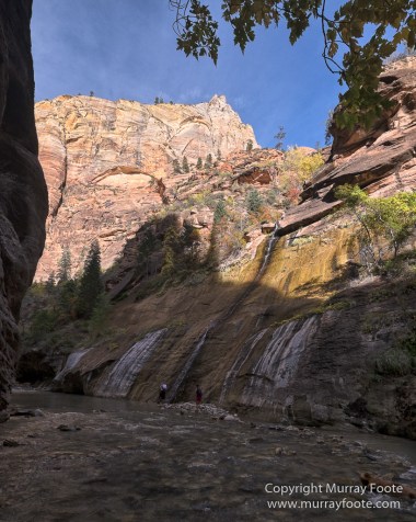 Landscape, Lava point, Photography, Southwest Canyonlands, The Narrows, Travel, USA, Utah, Wilcat Trail Head, Zion Canyon
