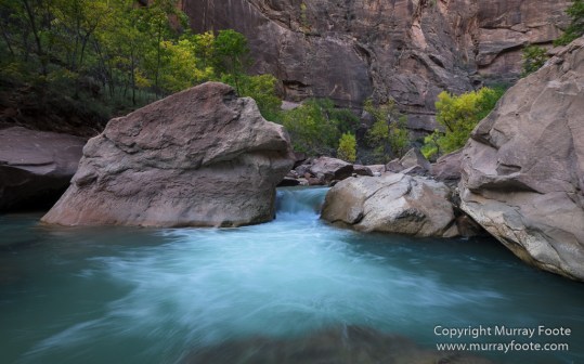 Landscape, Lava point, Photography, Southwest Canyonlands, The Narrows, Travel, USA, Utah, Wilcat Trail Head, Zion Canyon