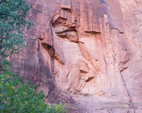 Landscape, Lava point, Photography, Southwest Canyonlands, The Narrows, Travel, USA, Utah, Wilcat Trail Head, Zion Canyon