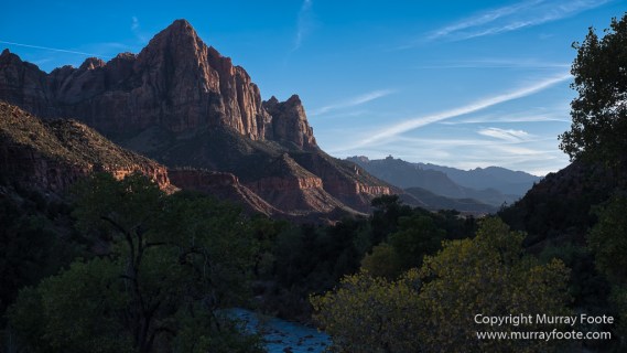 Landscape, Lava point, Photography, Southwest Canyonlands, The Narrows, Travel, USA, Utah, Wilcat Trail Head, Zion Canyon