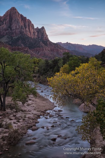 Landscape, Lava point, Photography, Southwest Canyonlands, The Narrows, Travel, USA, Utah, Wilcat Trail Head, Zion Canyon