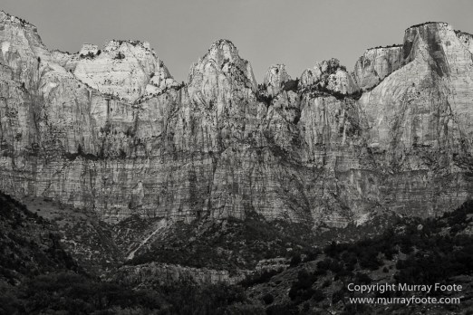 Black and White, Infrared, Landscape, Monochrome, Photography, Southwest Canyonlands, Travel, USA, Utah, Zion Canyon
