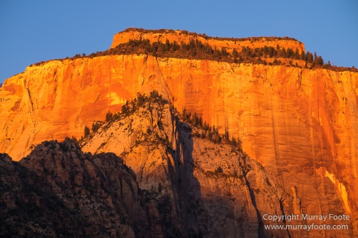 Landscape, Photography, Southwest Canyonlands, Travel, USA, Utah, Zion Canyon