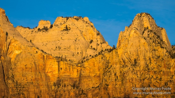 Landscape, Photography, Southwest Canyonlands, Travel, USA, Utah, Zion Canyon