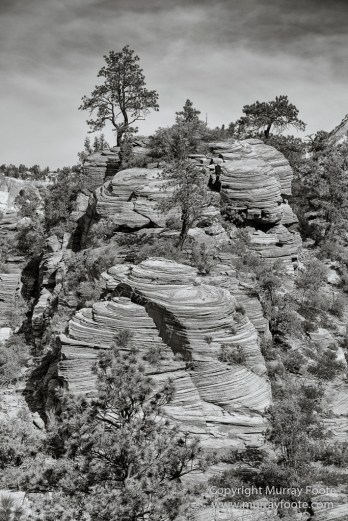 Black and White, Infrared, Landscape, Monochrome, Photography, Southwest Canyonlands, Travel, USA, Utah, Zion Canyon