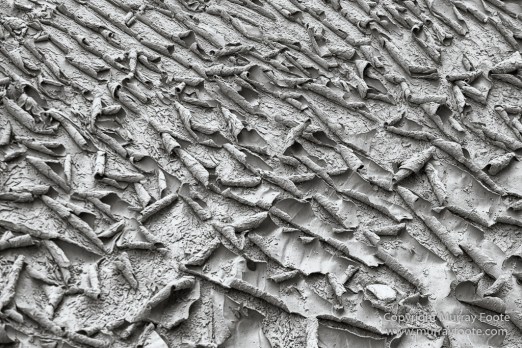 Black and White, Infrared, Landscape, Monochrome, Photography, Southwest Canyonlands, Travel, USA, Utah, Zion Canyon