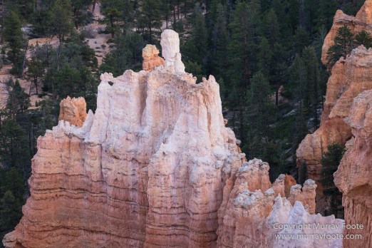 Bryce Canyon, Landscape, Photography, Southwest Canyonlands, Travel, USA, Utah