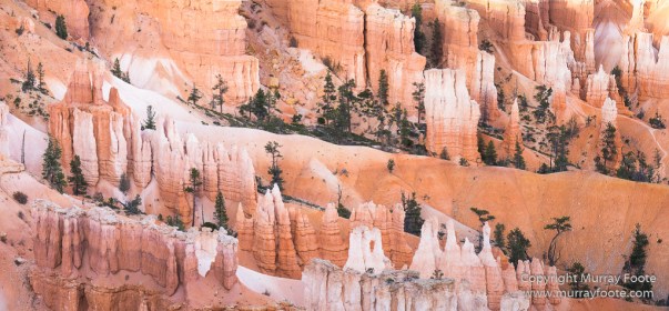 Bryce Canyon, Landscape, Photography, Southwest Canyonlands, Travel, USA, Utah