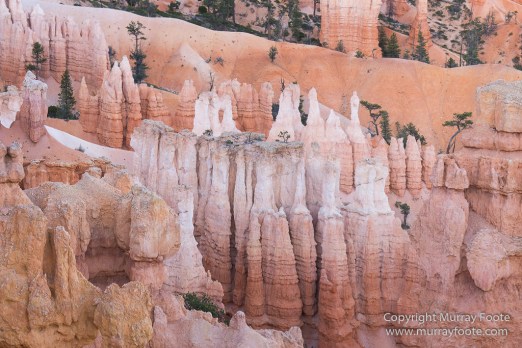 Bryce Canyon, Landscape, Photography, Southwest Canyonlands, Travel, USA, Utah