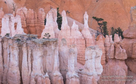 Bryce Canyon, Landscape, Photography, Southwest Canyonlands, Travel, USA, Utah