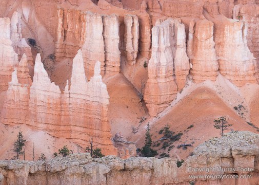 Bryce Canyon, Landscape, Photography, Southwest Canyonlands, Travel, USA, Utah