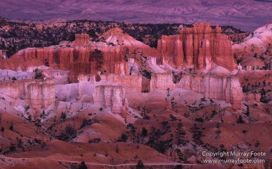 Bryce Canyon, Landscape, Photography, Southwest Canyonlands, Travel, USA, Utah