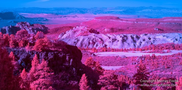 Infrared, Landscape, Photography, Southwest Canyonlands, Travel, USA, Utah, Zion Canyon