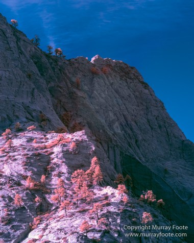 Infrared, Landscape, Photography, Southwest Canyonlands, Travel, USA, Utah, Zion Canyon