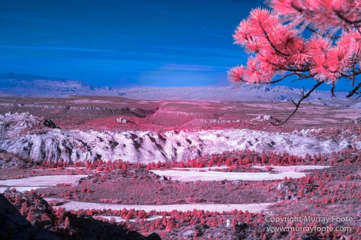 Infrared, Landscape, Photography, Southwest Canyonlands, Travel, USA, Utah, Zion Canyon