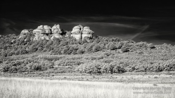 Black and White, Infrared, Landscape, Monochrome, Photography, Southwest Canyonlands, Travel, USA, Utah, Zion Canyon