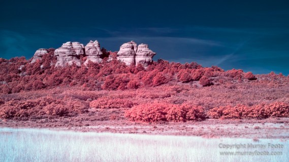 Infrared, Landscape, Photography, Southwest Canyonlands, Travel, USA, Utah, Zion Canyon