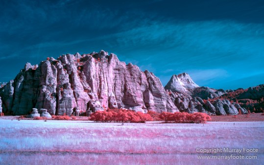 Infrared, Landscape, Photography, Southwest Canyonlands, Travel, USA, Utah, Zion Canyon