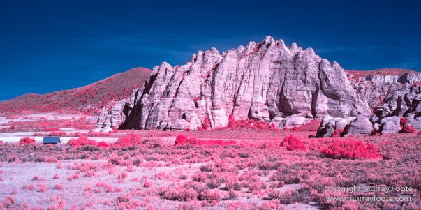Infrared, Landscape, Photography, Southwest Canyonlands, Travel, USA, Utah, Zion Canyon