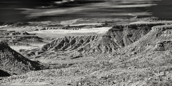 Black and White, Infrared, Landscape, Monochrome, Photography, Southwest Canyonlands, Travel, USA, Utah, Zion Canyon