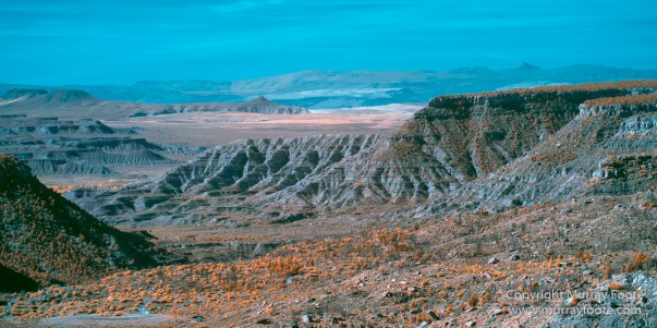 Infrared, Landscape, Photography, Southwest Canyonlands, Travel, USA, Utah, Zion Canyon
