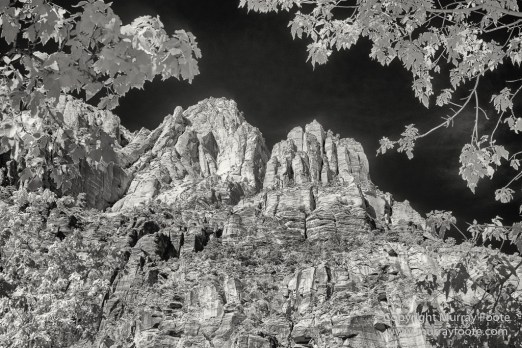 Black and White, Infrared, Landscape, Monochrome, Photography, Southwest Canyonlands, Travel, USA, Utah, Zion Canyon