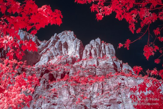 Infrared, Landscape, Photography, Southwest Canyonlands, Travel, USA, Utah, Zion Canyon