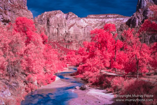 Infrared, Landscape, Photography, Southwest Canyonlands, Travel, USA, Utah, Zion Canyon