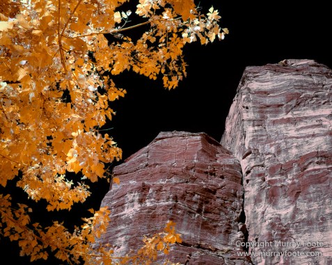 Infrared, Landscape, Photography, Southwest Canyonlands, Travel, USA, Utah, Zion Canyon