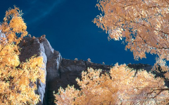 Infrared, Landscape, Photography, Southwest Canyonlands, Travel, USA, Utah, Zion Canyon