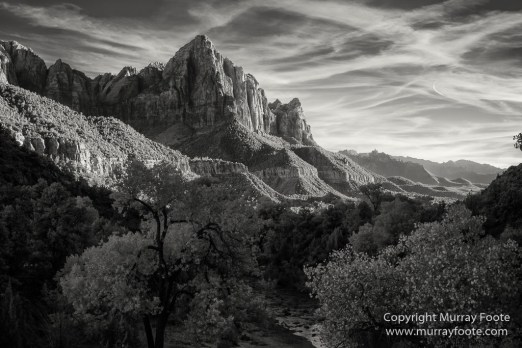 Black and White, Infrared, Landscape, Monochrome, Photography, Southwest Canyonlands, Travel, USA, Utah, Zion Canyon