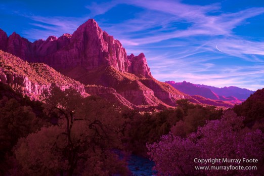 Infrared, Landscape, Photography, Southwest Canyonlands, Travel, USA, Utah, Zion Canyon