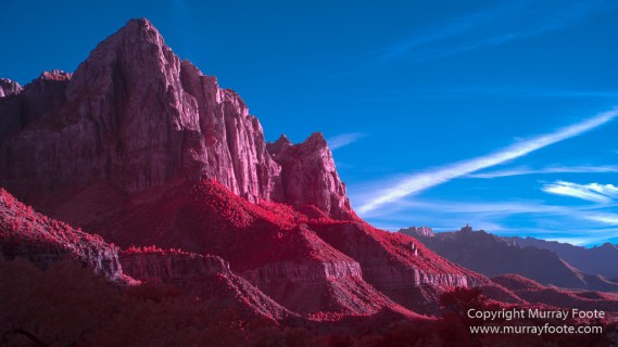 Infrared, Landscape, Photography, Southwest Canyonlands, Travel, USA, Utah, Zion Canyon