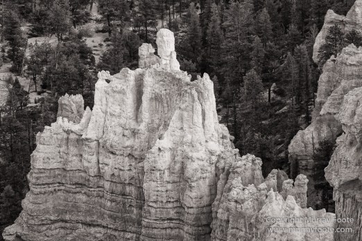 Black and White, Bryce Canyon, Capitol Reef, Landscape, Monochrome, Photography, Southwest Canyonlands, Travel, USA, Utah