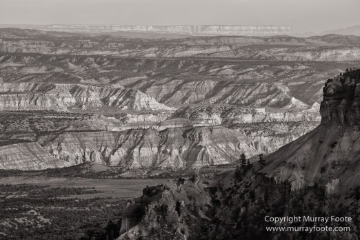 Black and White, Bryce Canyon, Capitol Reef, Landscape, Monochrome, Photography, Southwest Canyonlands, Travel, USA, Utah