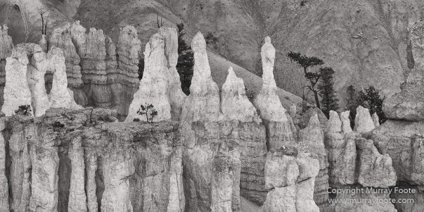 Black and White, Bryce Canyon, Capitol Reef, Landscape, Monochrome, Photography, Southwest Canyonlands, Travel, USA, Utah