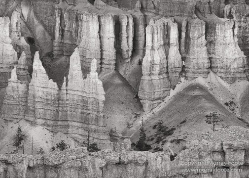 Black and White, Bryce Canyon, Capitol Reef, Landscape, Monochrome, Photography, Southwest Canyonlands, Travel, USA, Utah