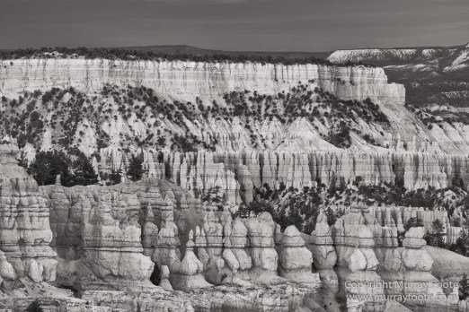 Black and White, Bryce Canyon, Capitol Reef, Landscape, Monochrome, Photography, Southwest Canyonlands, Travel, USA, Utah