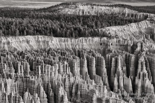 Black and White, Bryce Canyon, Capitol Reef, Landscape, Monochrome, Photography, Southwest Canyonlands, Travel, USA, Utah