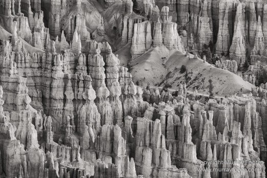 Black and White, Bryce Canyon, Capitol Reef, Landscape, Monochrome, Photography, Southwest Canyonlands, Travel, USA, Utah